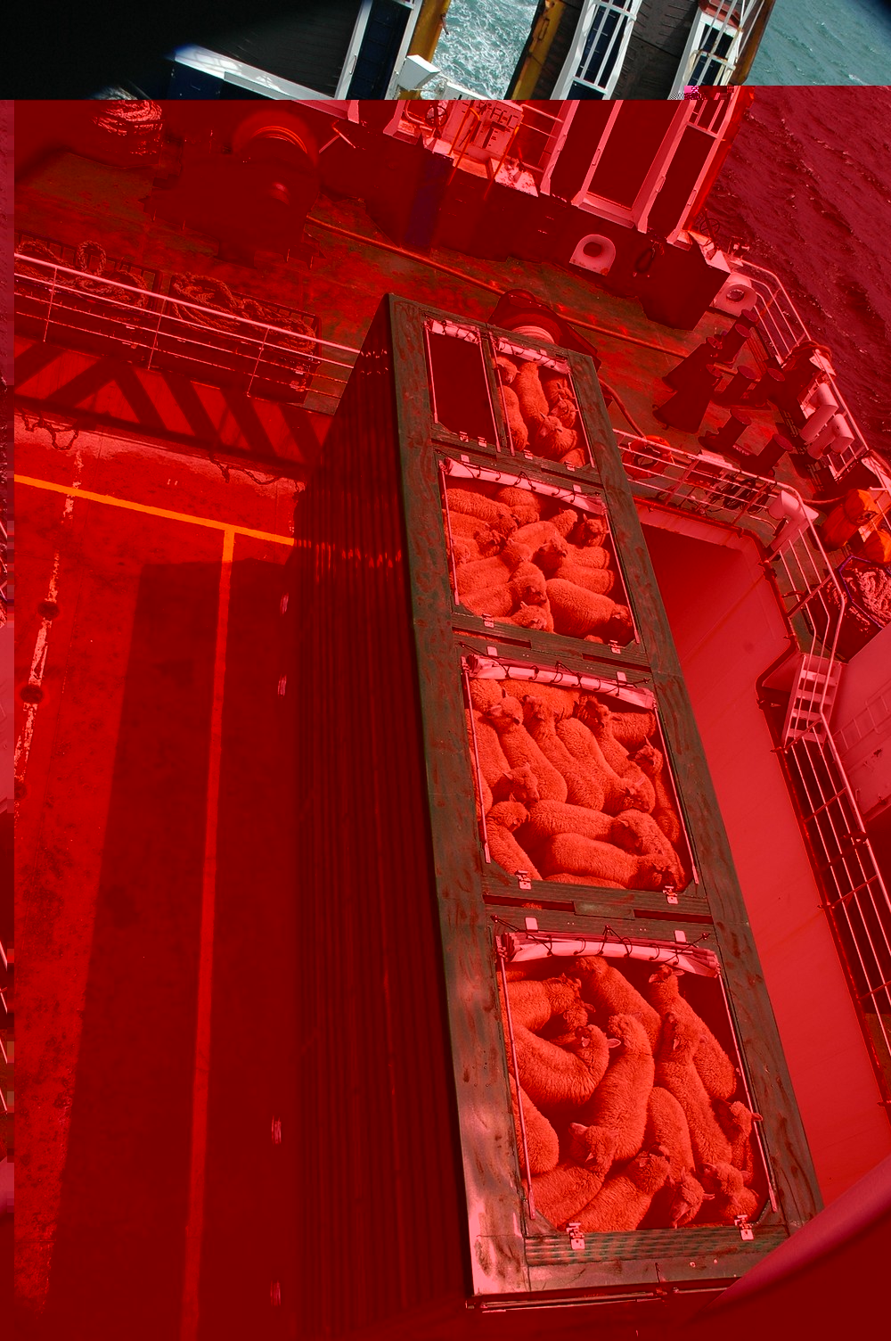 010   22 01   Overtocht Wellington   Picton